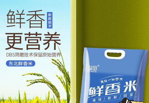溢田东北黑土鲜香米 品味黑龙江的淳朴与天然