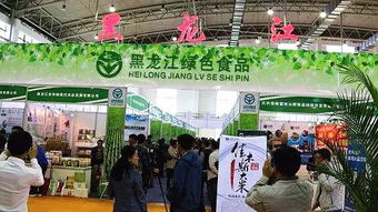 投资黑龙江，共赢振兴发展新未来——下一个淘金热土等你来