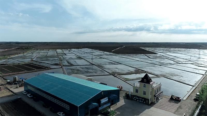 产业瞭望丨黑龙江省春耕生产全面告捷 黑龙江投资
